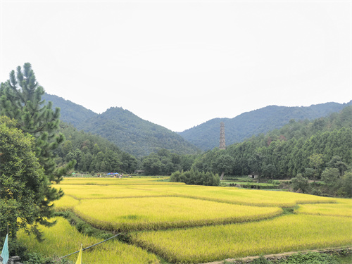 序号27_道洁_上传图片_IMG_20241004_080103.jpg