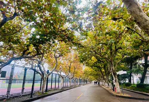 序号12_陈旭静_上传图片_IMG_7361.jpg